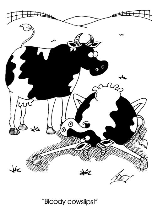 "Bloody cowslips!"
