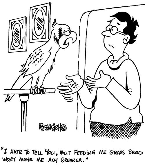 "I hate to tell you,but feeding me grass seed won't make me any greener."