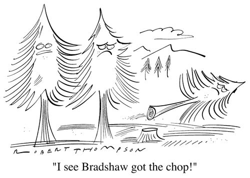 "I see Bradshaw got the chop."