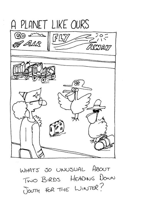 "Whats so unusual about two birds heading south for the winter?"