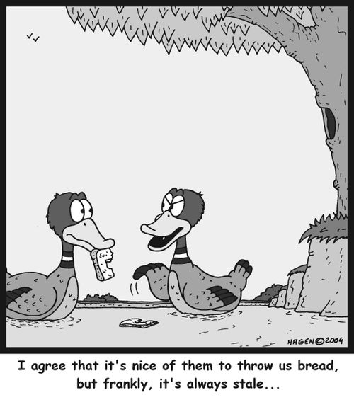 'I agree that it's nice of them to throw us bread, but frankly, it's always stale...'