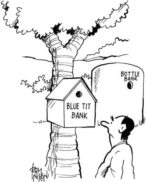 Blue Tit Bank.