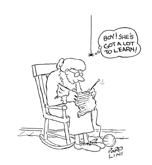 Spider observing old lady knitting: 'Boy! She's got a lot to learn!'