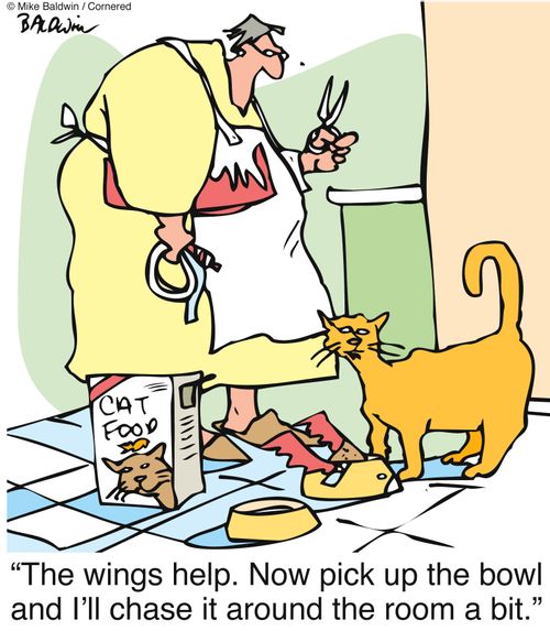 "The wings help. Now pick up the bowl and I'll chase it around the room a bit."