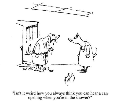 'Isn't it weird how you always think you can hear a can opening when you're in the shower?'