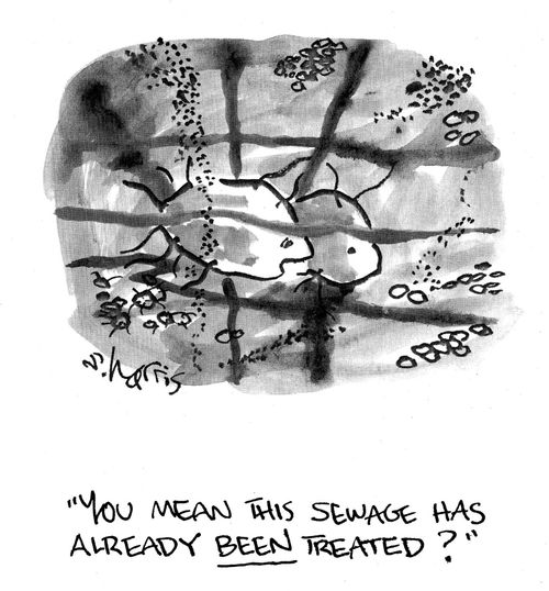 You mean this sewage has already been treated?