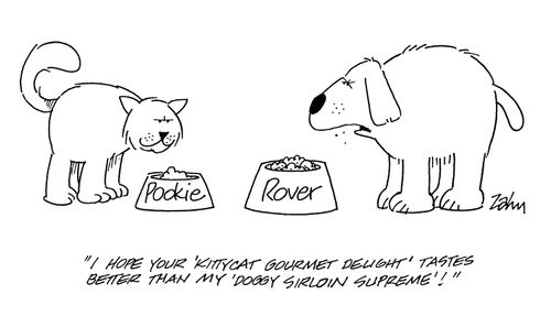 'I hope your 'kittycat gourmet delight' tastes better than my 'doggy sirloin supreme!''