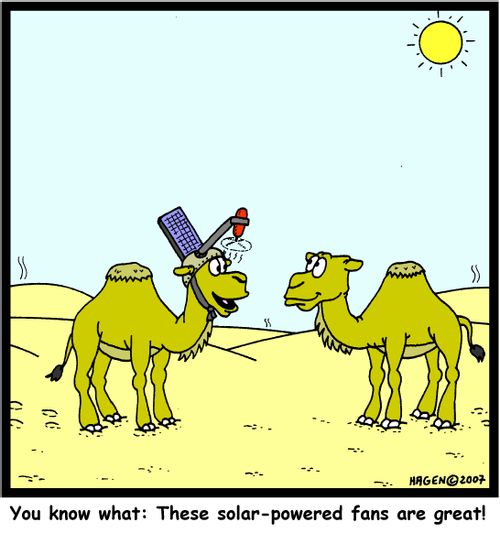 'You know what: These solar-powered fans are great!'