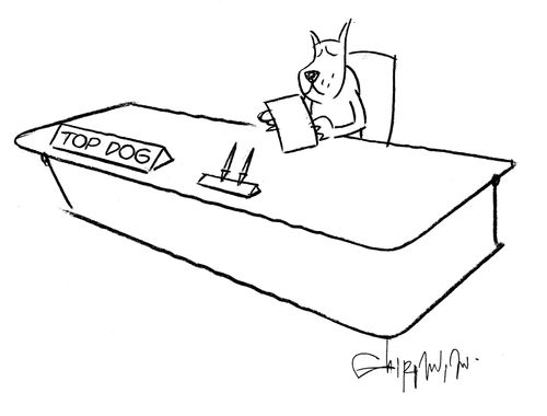 A dog is sat behind a desk, his name plate says 'top dog.'