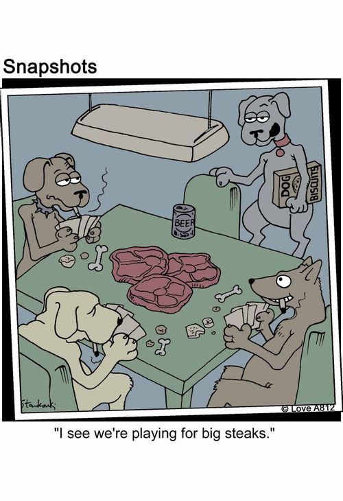 'I see we're playing for big steaks.'