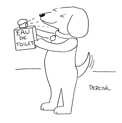 A dog spraying eau de toilet.