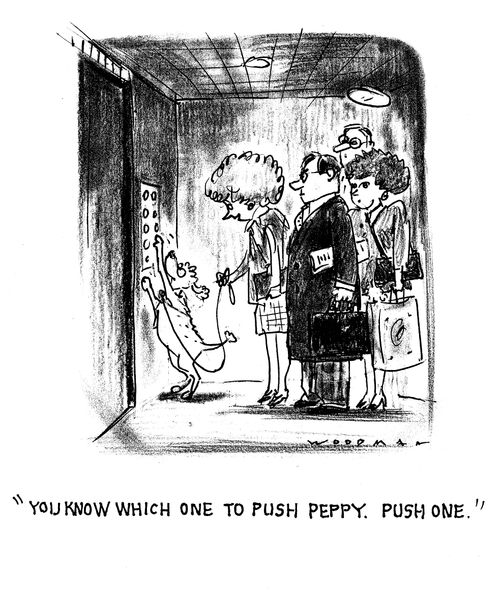 'You know which one to push Peppy. Push one.'