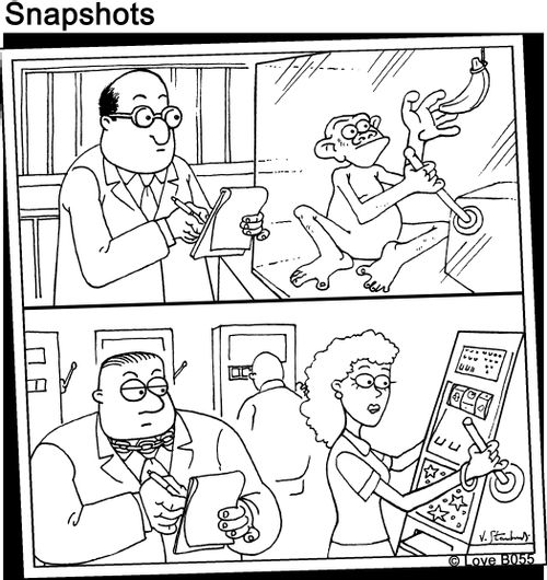 Monkeys and Slot Machines.