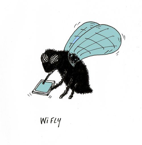 Wi Fly