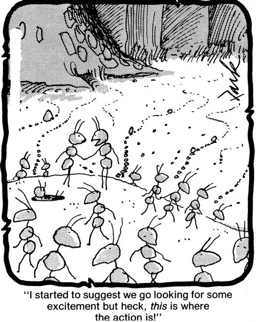 'I started to suggest we go look for some excitement but heck, this is where the action is!'