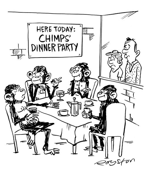 Father and son disappointed at 'Chimps' Dinner Party'