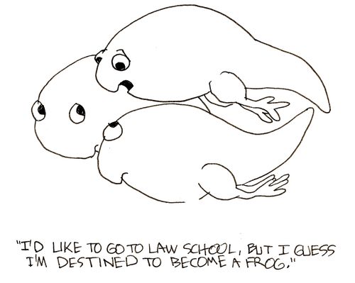'I'd like to go to law school, but I guess I'm destined to become a frog.'