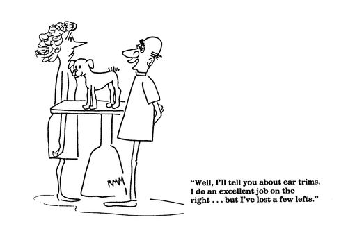 'Well, I'll tell you about ear trims...