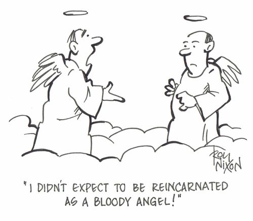 'I didn't expect to be reincarnated as a bloody angel!'