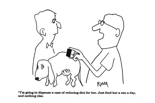 'I'm going to dispense a case of reducing diet for her....