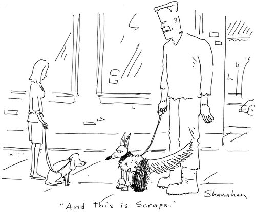 'And this is scraps.'