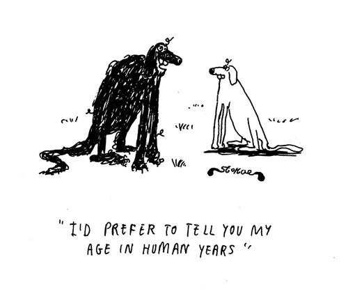 'Id prefer to tell you my age in human years.'