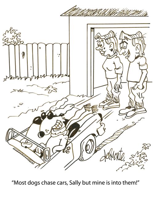 'Most dogs chase cars, Sally but mine is into them!'