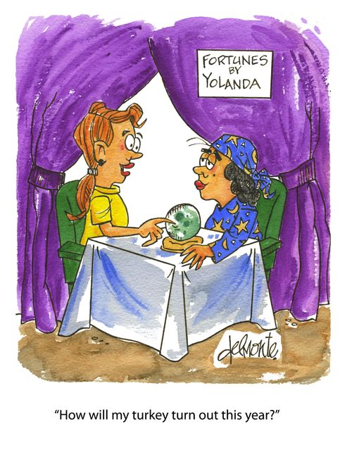 'How will my turkey turn out this year?' Color