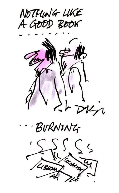 Nothing like a good book......... burning.