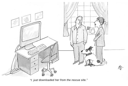 'I just downloaded her from the rescue site.'