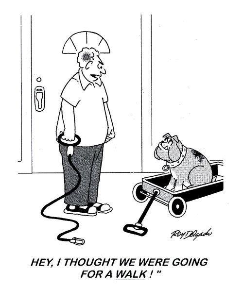 'Hey, I thought we were going for a walk.'