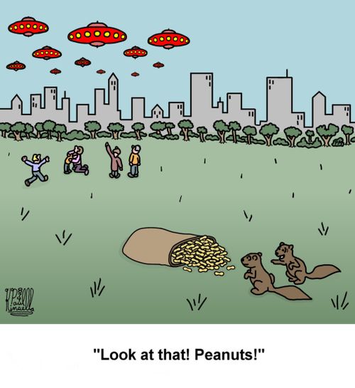 'Look at that! Peanuts!'