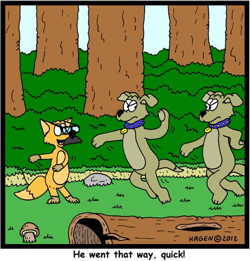 'He went that way, quick!'