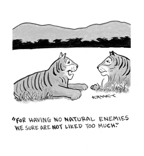 'For having no natural enemies we sure are not liked too much.'