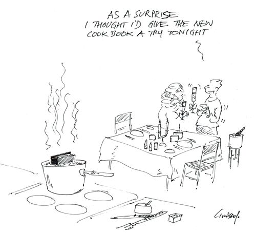 'As a surprise I thought I'd give the new cookbook a try tonight.'