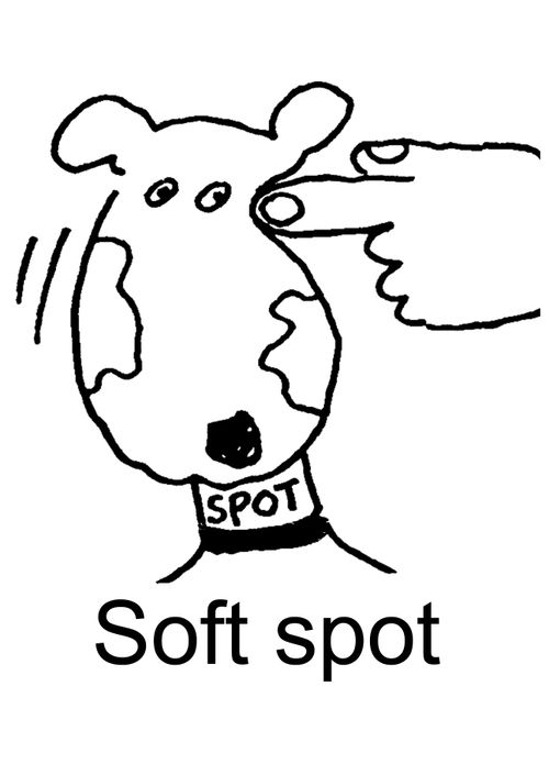 Soft spot.