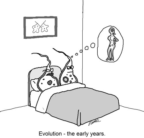 Evolution - the early years.