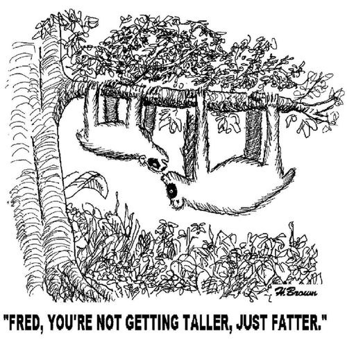'Fred, you're not getting taller, just fatter.'