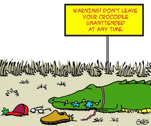 Warning! Don't leave your crocodile unanttended at any time!