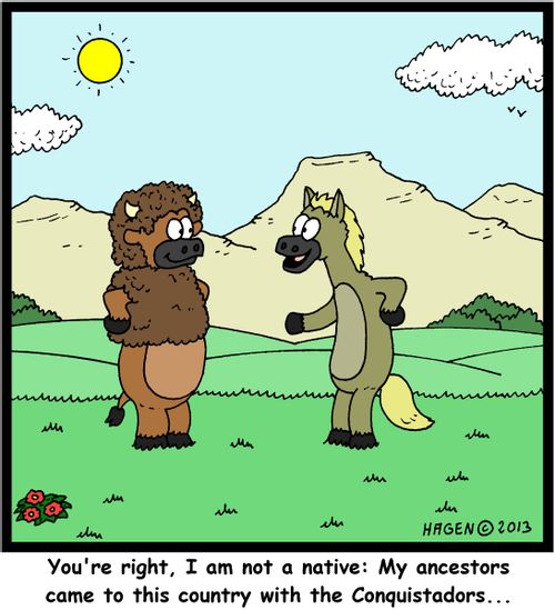 'You're right, I am not a native: My ancestors came to this country with the Conquistadors...'