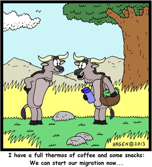 'I have a full thermos of coffee and some snacks: We can start our migration now...'