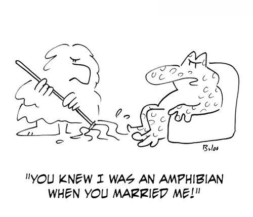 'You knew I was an amphibian when you married me!'