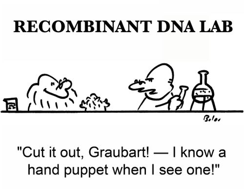 'Cut it out, Graubart! -- I know a hand puppet when I see one!'