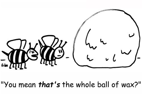 'You mean that's the whole ball of wax?'