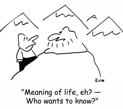 'Meaning of life, eh? -- Who wants to know?'