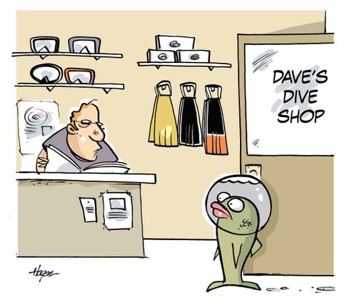 Fish breathing water enters dive shop.