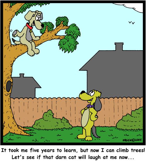 'It took me five years to learn, but now I can climb trees! Let's see if that darn cat will laugh at me now...'