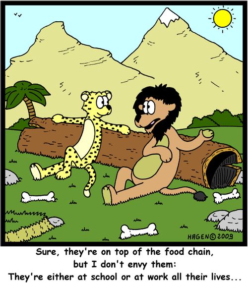'Sure, they're on top of the food chain, but I don't envy them: They're either at school or at work all their lives...'