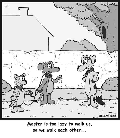 'Master is too lazy to walk us, so we walk each other...'