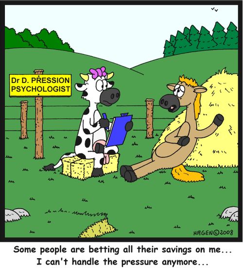 'Some people are betting all their savings on me... I can't handle the pressure anymore...'
